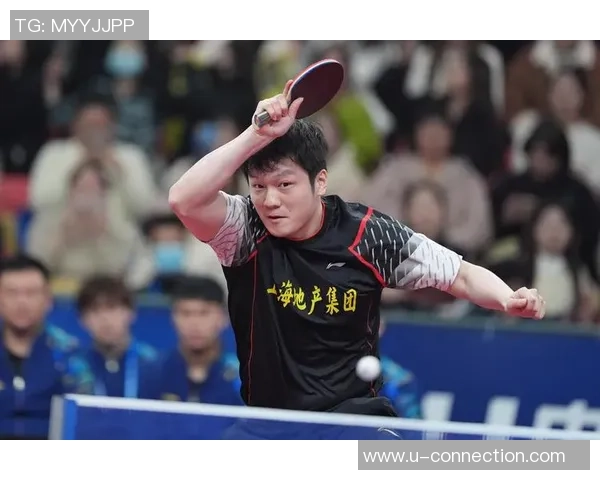 2026乒乓球团队协作排行榜：上海乒乓球队位居第6名