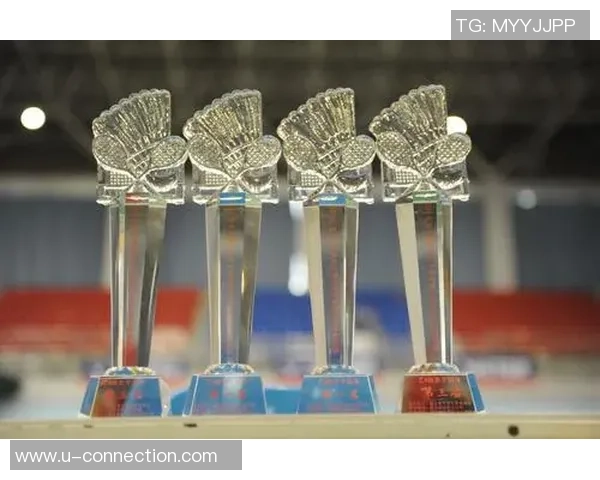 数据分析：深圳羽毛球队的灵活性表现