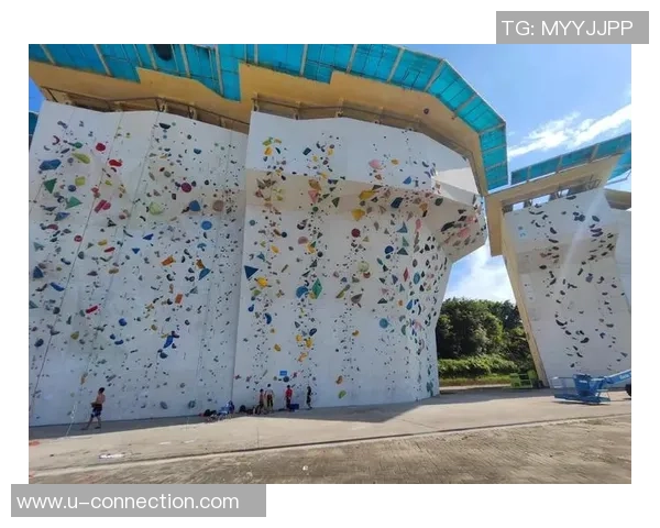 最新攀岩配合TOP10：广州攀岩队领跑_1